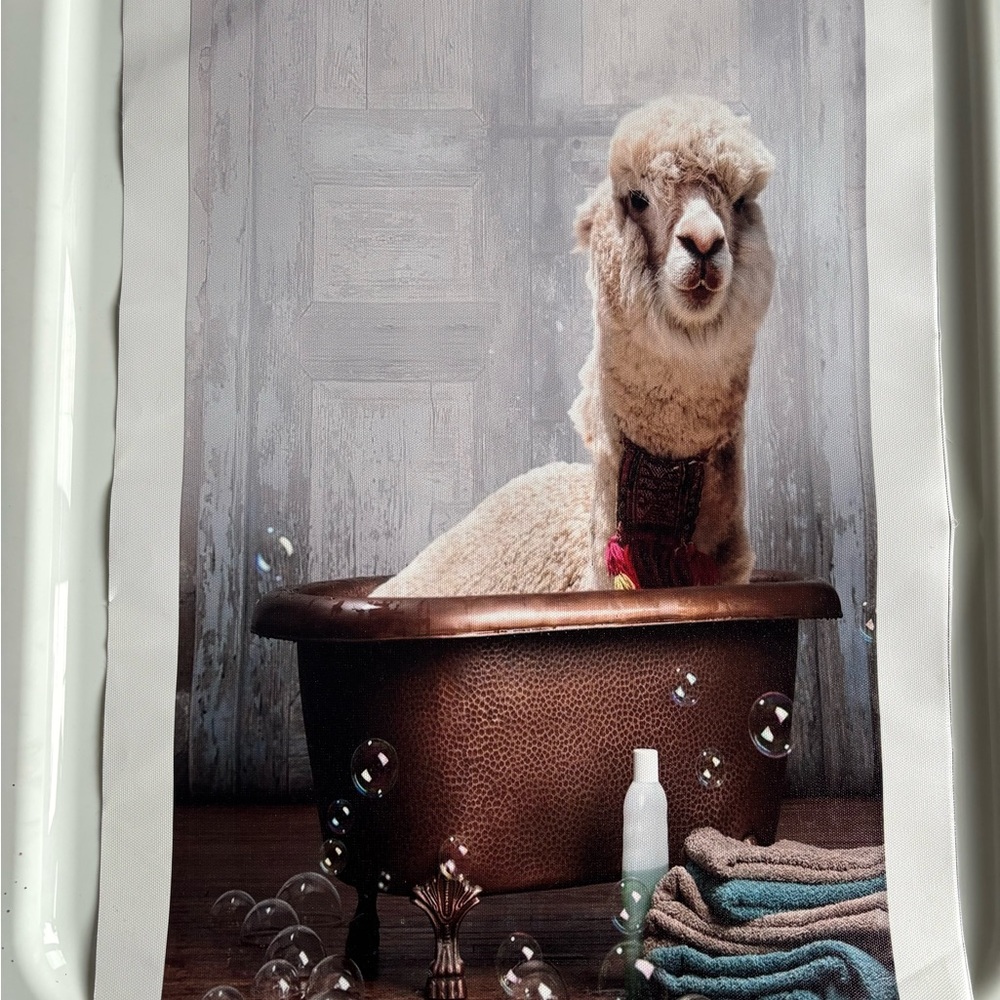 Alpaca Bath Art Print